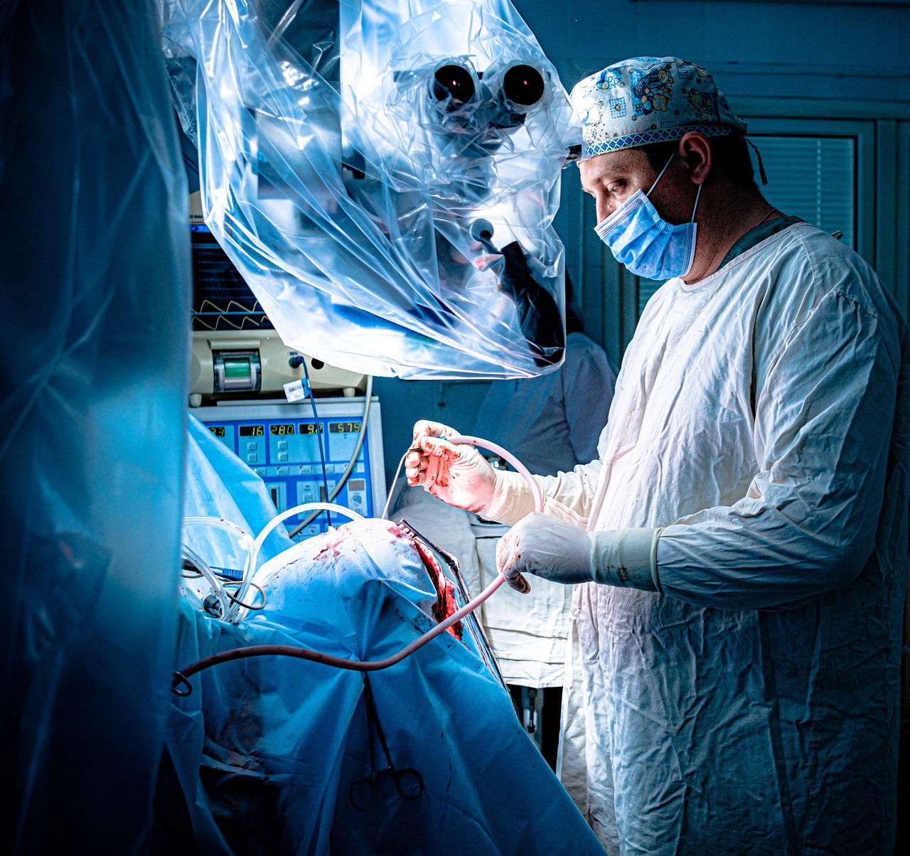 ce inseamna sterilizare la caini