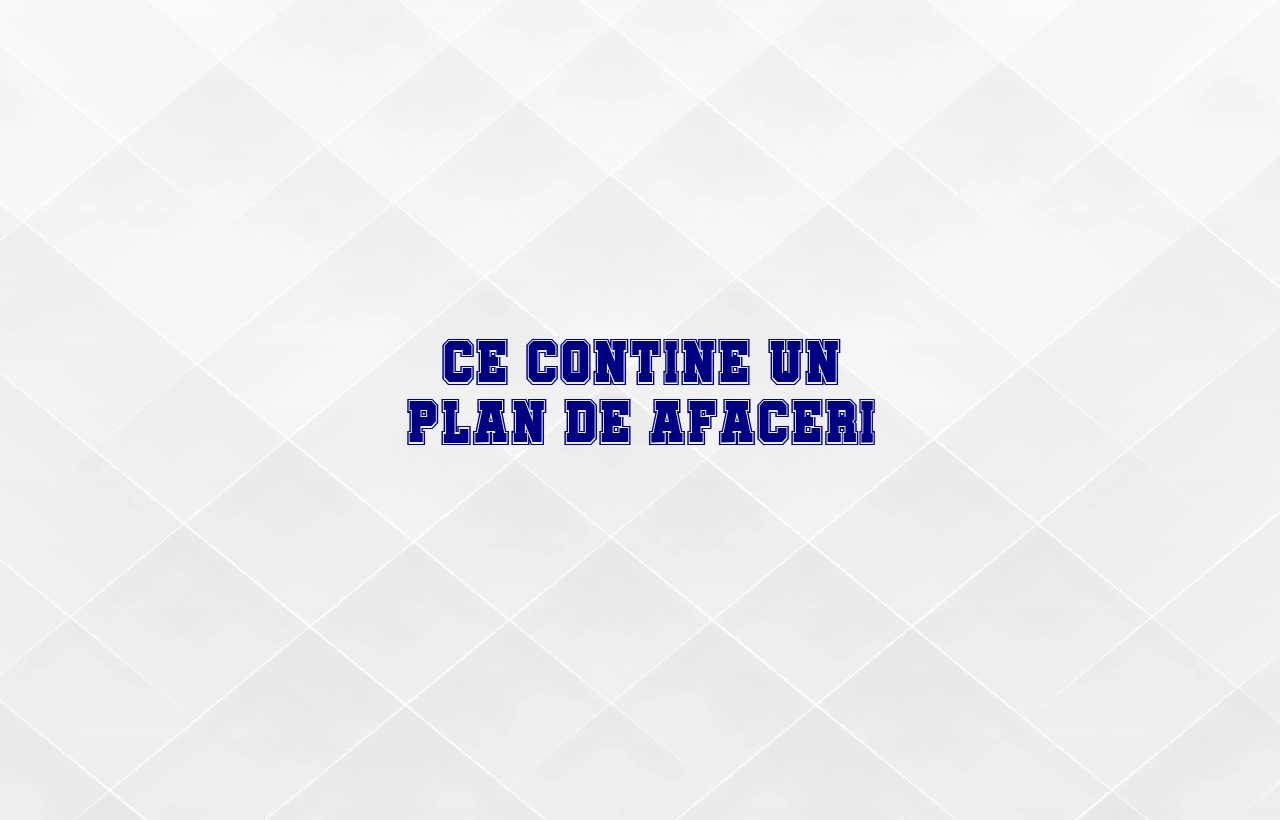 ce contine un plan de afaceri
