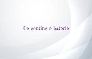 ce contine o baterie